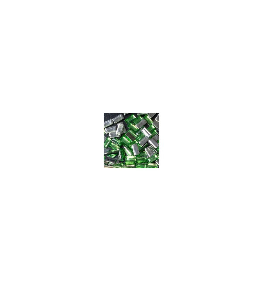 Magnetic Rectangle Light Green 100 pc - Creata Beauty - Professional Beauty Products