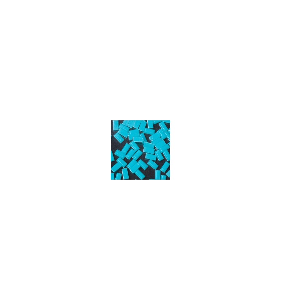 Magnetic Rectangle Turquoise 100 pcs - Creata Beauty - Professional Beauty Products